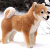 Kosen Dogs Kosen Dogs