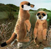 Kosen Wild Animals Kosen Wild Animals