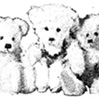 ....Pre-Loved Bears.... Charlie Bears