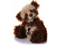 Isabelle Collection In Stock Now