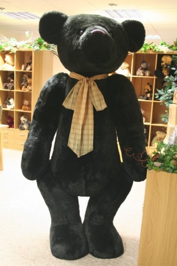 Retired At Corfe Bears - DIGBY <BR> 6FT