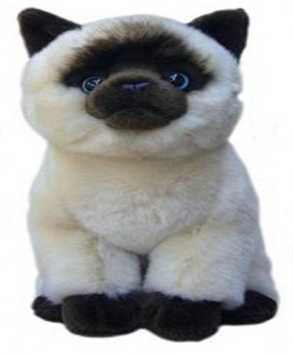 Cats - SIAMESE SOFT TOY CAT 30.5CM