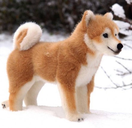 where to buy a shiba inu puppy kosen shiba inu 5750 where to buy a shiba inu puppy kosen shiba inu 5750