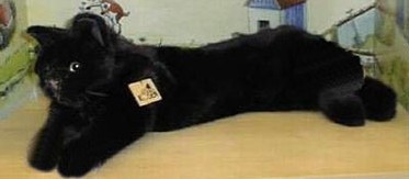 Retired Kosen Animals - BLACK CAT 50CM