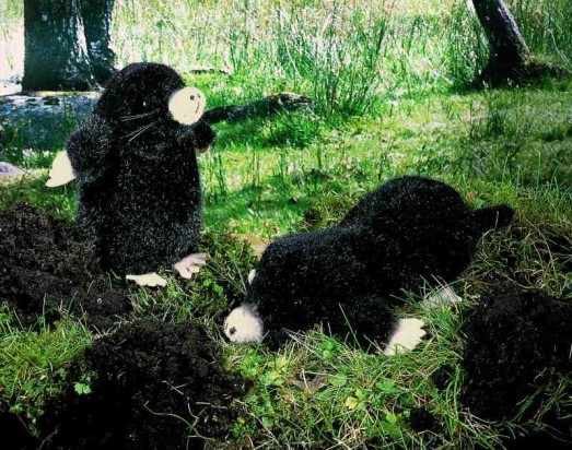 Retired Kosen Animals - MOLE SITTING 15CM