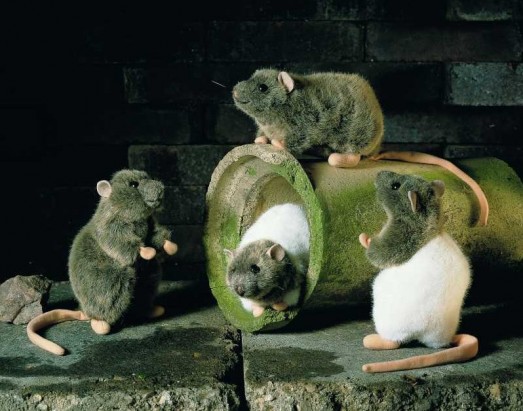 Kosen Animals - RAT 20CM <BR> 20CM