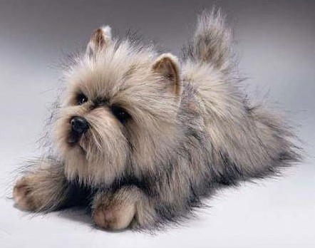 Retired Bears and Animals - CAIRN TERRIER 12"