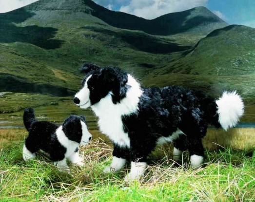 Kosen Dogs - BORDER COLLIE 44CM <BR>