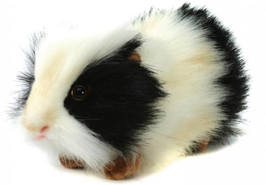 Retired Bears and Animals - GUINEA PIG BLACK AND WHITE 19CM