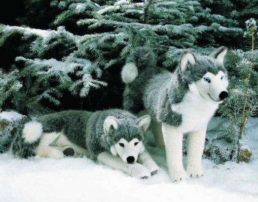 Kosen Dogs - HUSKY 37CM <BR>