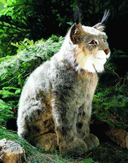 Kosen Wild Animals - LYNX  43CM