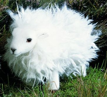 Retired Kosen Animals - SHEEP 30CM WHITE