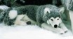 HUSKY 41CM