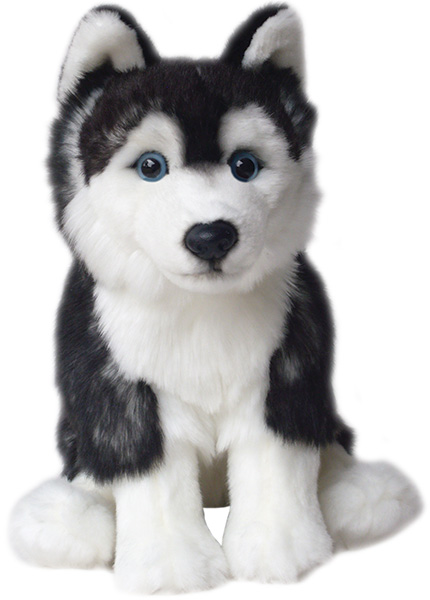 toy husky dog breed