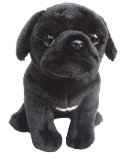 cuddly toy dog breeds