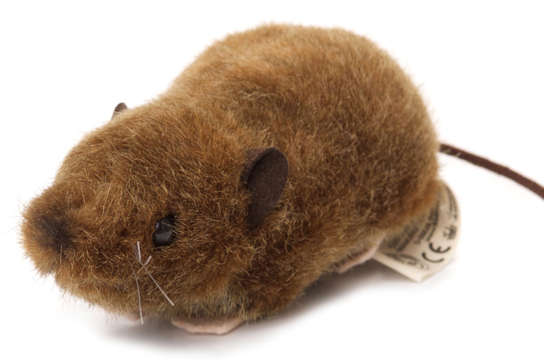 shrew plush