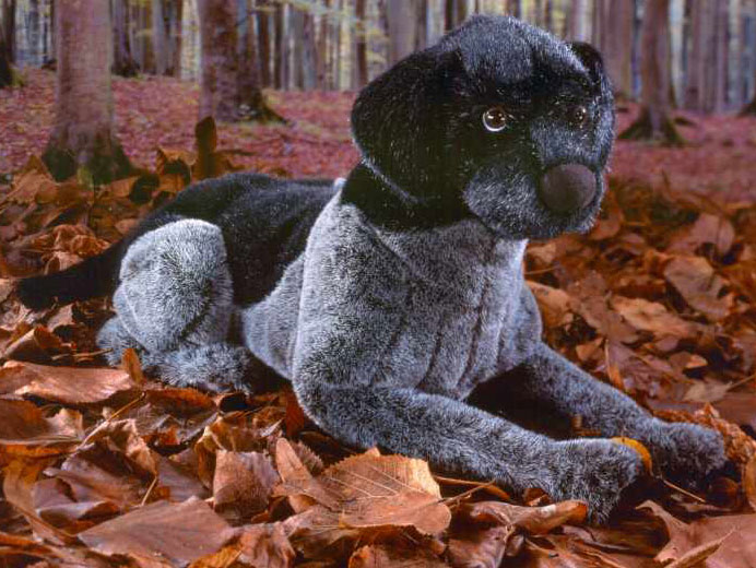 pointer stuffed animal
