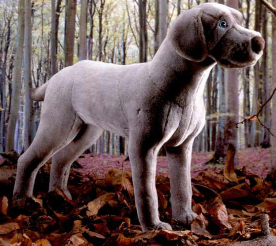 weimaraner soft toy