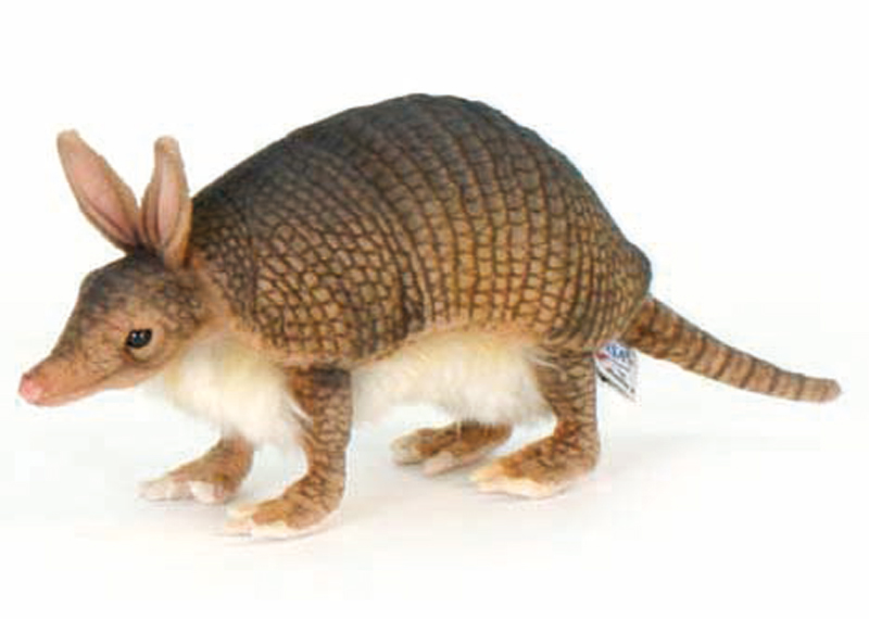 armadillo teddy