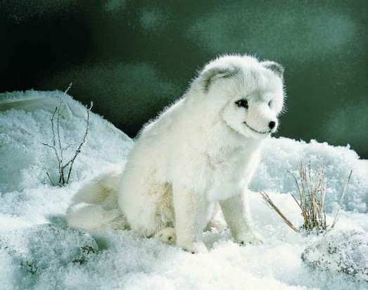 Retired Kosen Animals - ARCTIC FOX  25CM