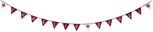 Retired At Corfe Bears - CHARLIE BEARS BUNTING