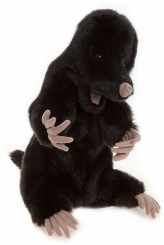 Retired At Corfe Bears - PEEK-A-BOO MOLE PUPPET 30CM