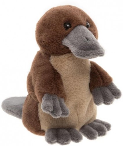 In Stock Now - CUDDLE CUB DUCK BILLED PLATYPUS 13CM