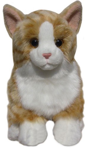 cat cuddly toy