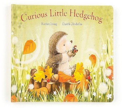 Retired Jellycat at Corfe Bears - BOOK - CURIOUS HEDGEHOG