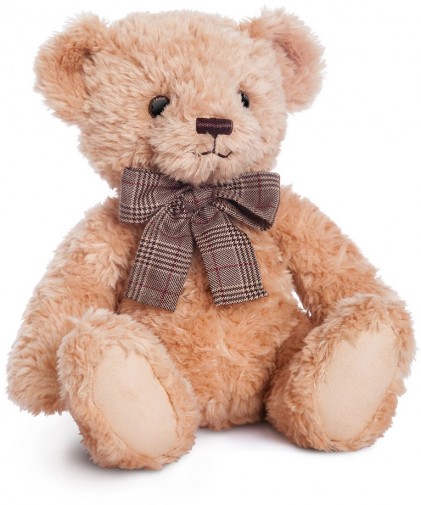 Retired Bears and Animals - JAMES TEDDY BEAR 28CM