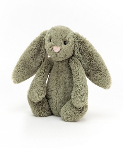 Retired Jellycat at Corfe Bears - BASHFUL BUNNY FERN SMALL 18CM