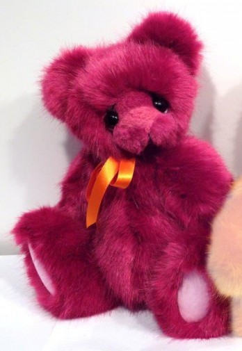 Retired Kaycee Bears - TUTTI 17"