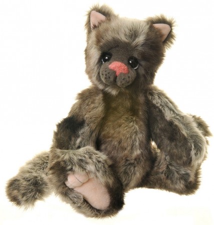 Retired Kaycee Bears - VALENTINO CAT 14"