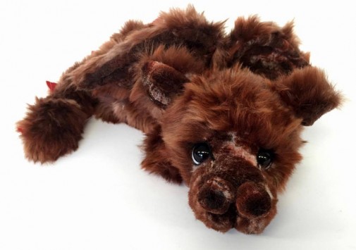 Retired Kaycee Bears - ZIPPITY DRAGON 21"