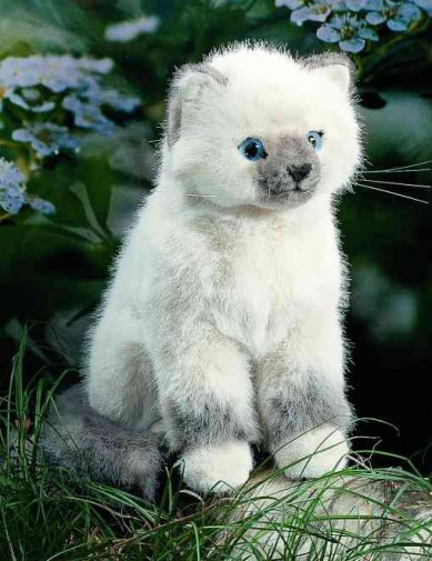 steiff birman cat
