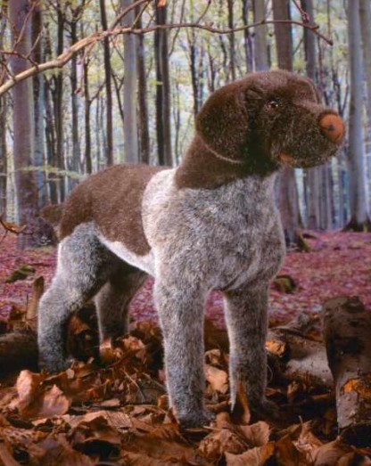 Retired Kosen Animals - GERMAN WIREHAIRED POINTER 47CM