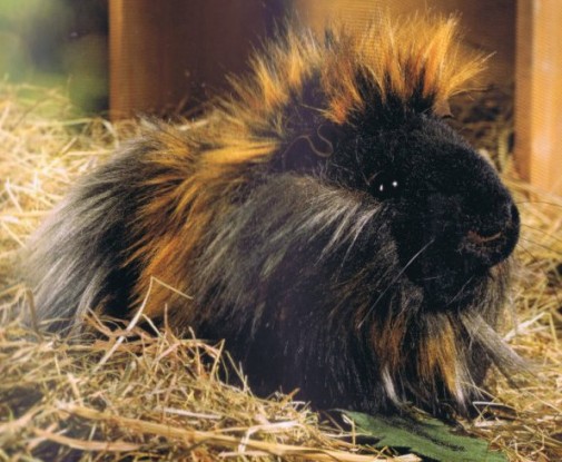 Retired Kosen Animals - GUINEA PIG 24CM