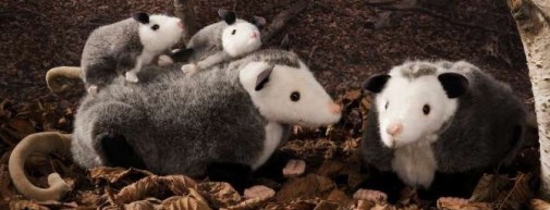 Retired Kosen Animals - OPOSSUM 50CM