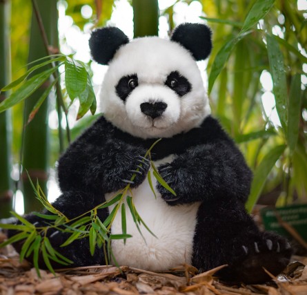 Retired Kosen Animals - PANDA SITTING 38CM