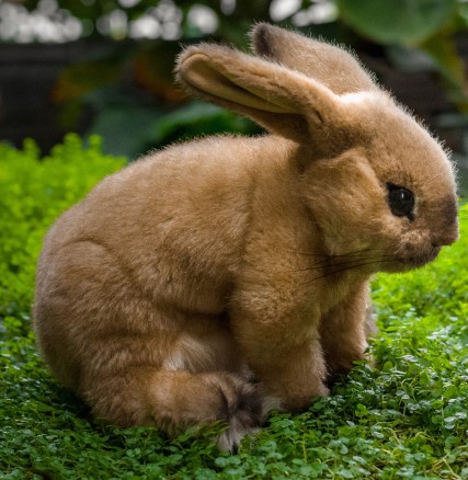 Retired Kosen Animals - BEIGE BUNNY RABBIT 24CM