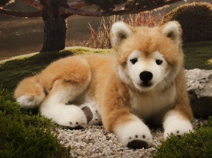 Retired Kosen Animals - SHIBA INU TAN LYING 33CM