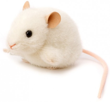 realistic stuffed mouse