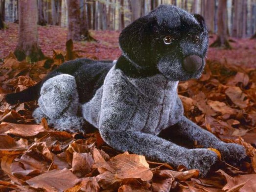 Retired Kosen Animals - GERMAN WIREHAIRED POINTER 48CM