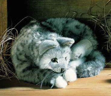 tabby cat teddy