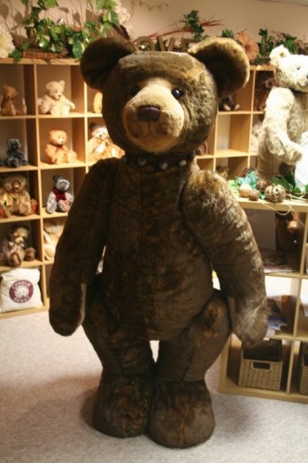 Retired At Corfe Bears - NELSON <BR> 6FT