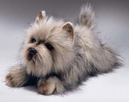 cairn terrier plush