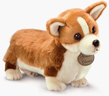 corgi teddy bear dog