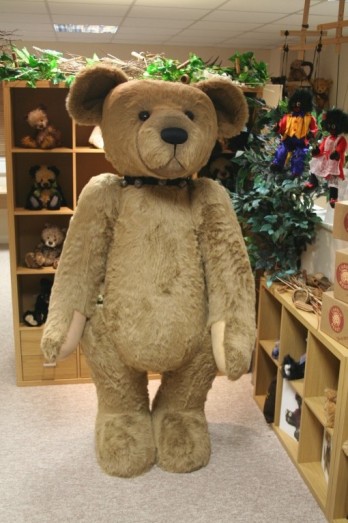 Retired At Corfe Bears - WELLINGTON <BR> 6FT