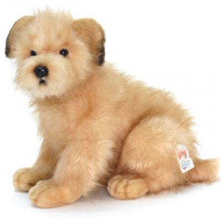 Retired Bears and Animals - NORFOLK TERRIER PUP 32CM