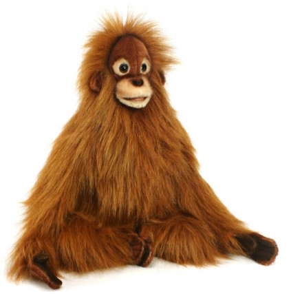 Retired Bears and Animals - ORANGUTAN KID 34CM